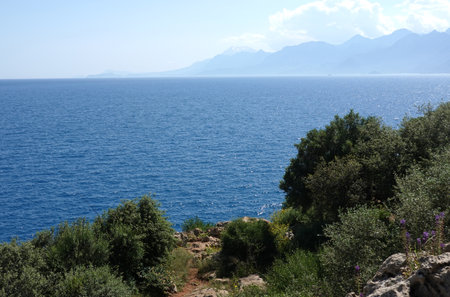 Rocky shore with south vegetation, calm sea and high mountains at far in haze in sunny summer dayの写真素材