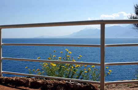 Seascape view through metal fence from rocky shore with yellow flowers to the calm sea and high mountains at far in haze in sunny summer dayの写真素材