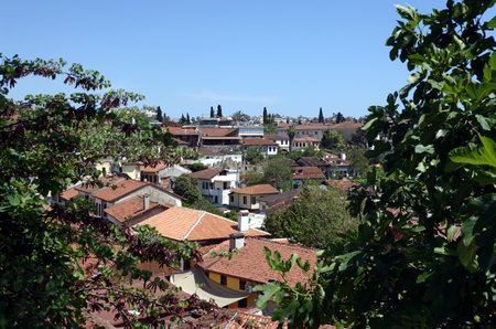 Nice view of the tiled roofs of dense standing houses of the Antalya old city from dense south vegetation on a bright sunny dayの写真素材