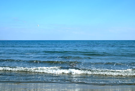 Azure sea surface till skyline with small waves and foam and single seagull above water in clear cloudless skyの写真素材