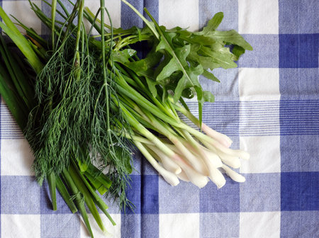 Young ripe greens on the checkered napkin top view close-upの写真素材