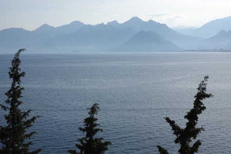 Mediterranean landscape in soft colors with calm sea and high mountains silhouettes in light light haze on skyline with cypresses on frontの写真素材