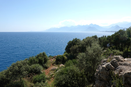Rocky shore with south vegetation, calm sea and high mountains at far in haze in sunny summer dayの写真素材