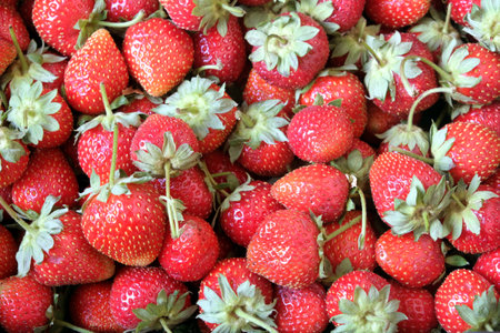Crop of red ripe selected strawberries as background top view close upの写真素材