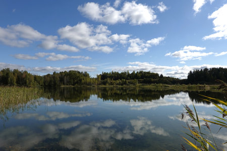 Beautiful rural summer landscape with calm lake with backwater and birch forest after it under blue sky with soft clouds reflection in waterの写真素材