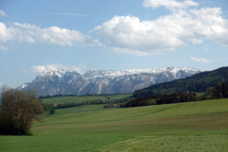 Beautiful rural landscape with blossoming alpine meadows with green grass and high mountains with snow on top at far away under blue sky with clouds on bright sunny dayの写真素材