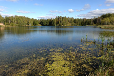 Beautiful countryside autumn landscape with backwater on still lake and birch forest after it under blue sky with soft cloudsの写真素材