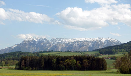 Landscape with blossoming alpine meadows with green grass and mountains with snow caps at far awayの写真素材