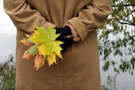 A girl wear in autumn cotton coat and gloves holds behind back bouquet from colorful maple leaves close-up view outdoorsの写真素材