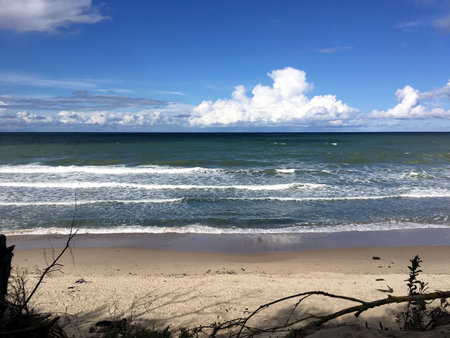 Empty sandy beach and beautiful sea with foamy waves under blue sky with white cloudsの写真素材