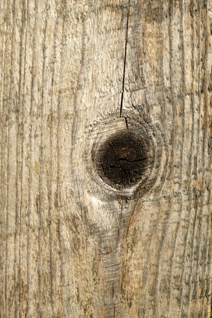 Burnt out in the sun retro style vintage brown wooden board with big black knot vertical front view close-upの写真素材