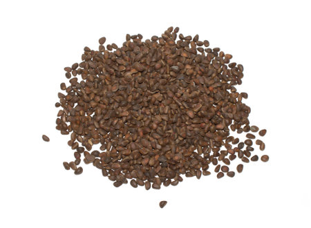 Big pile of small brown pine nuts isolated on white background top view close-upの写真素材