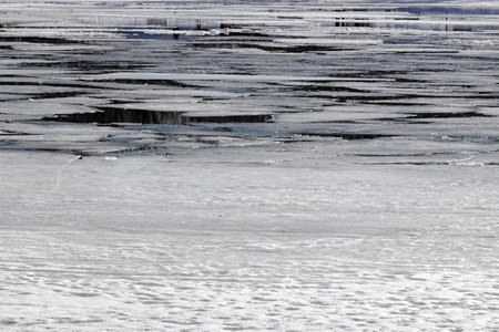 Early spring, many white melting ice floes floating in the river water near coastlineの写真素材