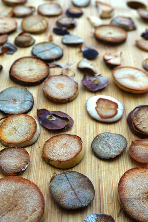Wooden surface of kitchen table full of many cut round pieces of avocado seeds as background perspective view close-upの写真素材