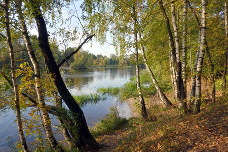 Calm countryside landscape with forest near the calm river water in autumn dayの写真素材