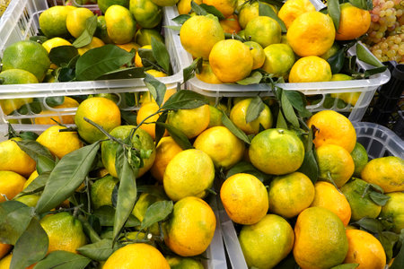 Many ripe fresh mandarins with green leaves inside plastic crate in the vegetable market real photo closeupの写真素材