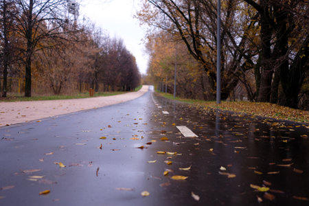 Long asphalt road with marking line in the autumn city park in overcast dayの写真素材