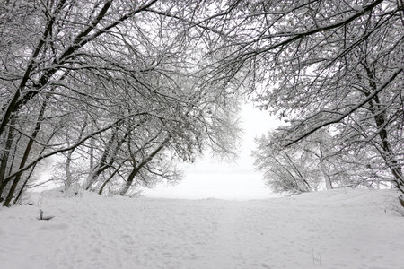 Beautiful landscape with snow-covered path on the edge of the forest and frozen river in overcast winter dayの写真素材