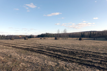 Rural landscape with a field with many abandoned rolled haystacks on it and the forest on skyline under blue sky with clouds in the eveningの写真素材