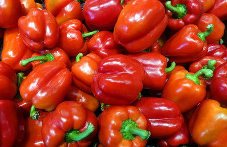 Still life with close-up view of many red whole sweet peppers on the vegetable department store showcase as backgroundの写真素材