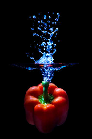 Capsicum Splashの写真素材