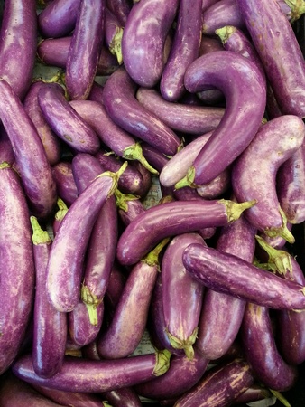 Fresh Eggplants in marketの素材
