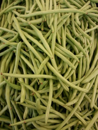 Fresh Phaseolus Vulgaris Common Beansの素材