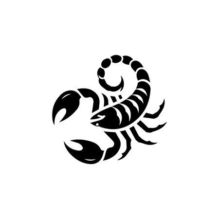 Abstract scorpion vector icon. Creative design for t-shirt prints and branding. Bold and captivating illustration.のイラスト素材
