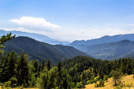 Mountains with green forest landscape.