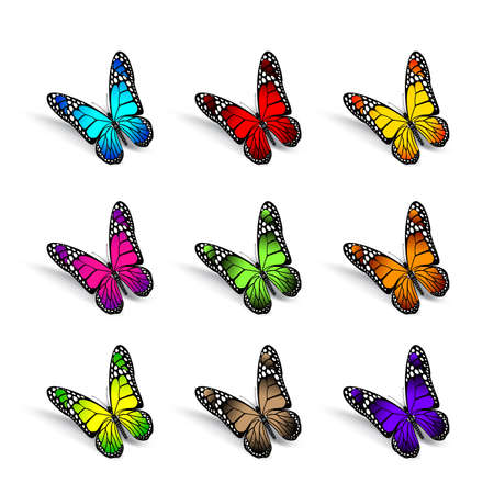 Set of Realistic Colorful Butterflies Isolated for Spring. Editable Vector Illustrationのイラスト素材