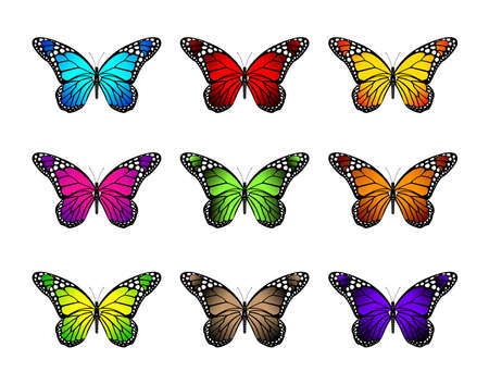 Set of Realistic Colorful Butterflies Isolated for Spring. Editable Vector Illustrationのイラスト素材