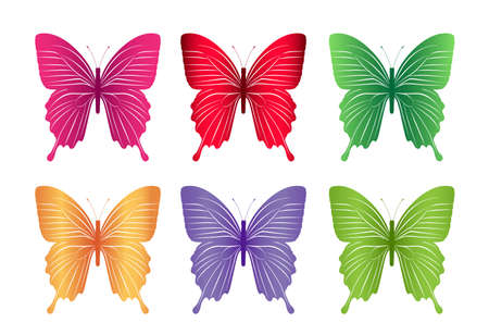 Set of Colorful Butterflies Isolated for Spring. Editable Vector Illustrationのイラスト素材