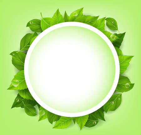 Realistic Leaves Background with White Space. Vector Illustrationのイラスト素材