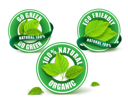 Green Organic Labels, Badge or Seal Set Isolated. Vector Illustrationのイラスト素材