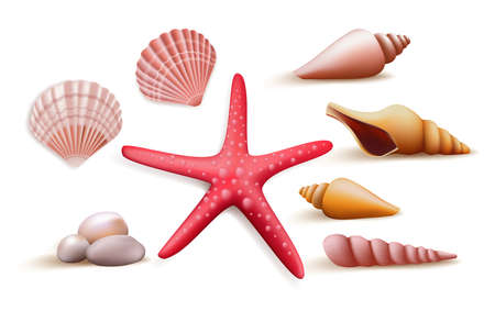 Set of Realistic Colorful Sea Shells and Stones Elements and Decoration for Summer Season. Vector Illustrationのイラスト素材