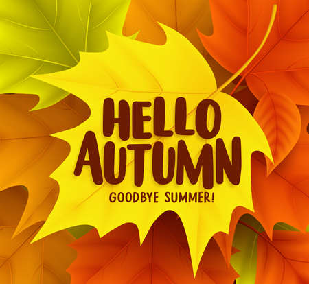 Hello autumn greetings vector design with yellow maple leaf and a background of colorful fall season leaves. Vector illustration.のイラスト素材