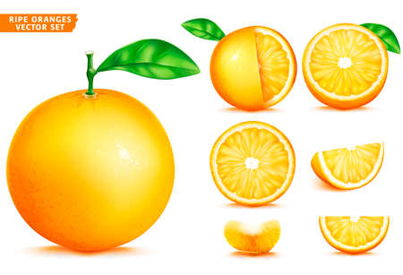 Orange Fruit Ripe Realistic 3D Vector Food Set. Whole Half and Sliced Version In Isolated White Backgroundのイラスト素材