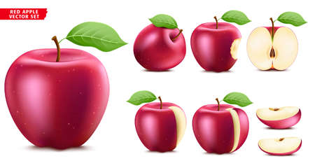 Red Apple Fruit Ripe Realistic 3D Food Vector Set. Whole Half and Sliced Version In Isolated White Backgroundのイラスト素材