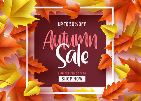 Autumn sale vector banner design. Autumn sale discount text in a frame with orange and yellow maple...