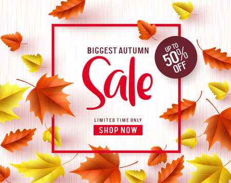 Autumn sale vector banner. Biggest autumn sale text with maple leaves and red frame in white textured background for fall season marketing design. Vector illustration.