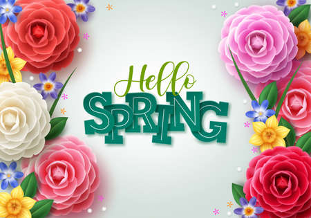 Hello spring vector concept design. Spring greeting text with colorful camellia flowers and leaves elements for spring season in white background. Vector illustration.のイラスト素材