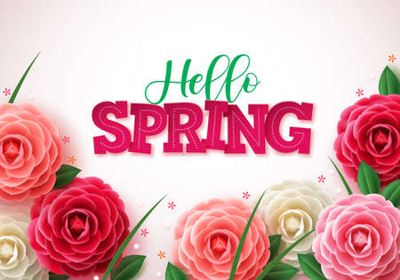 Hello spring vector concept background. Spring greetings text with colorful flower like rose, camellia and leaves elements in white background for spring season. Vector illustration.のイラスト素材