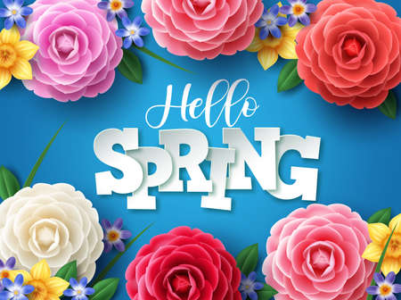 Hello spring vector design. Hello spring greeting text with colorful camellia flowers and leaves elements in blue floral background for spring season. Vector illustration.のイラスト素材