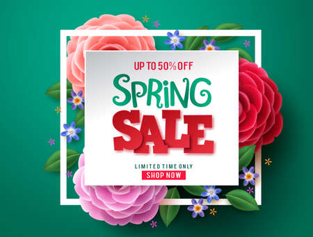 Spring sale flowers vector design. Spring sale discount text and colorful camellia flowers in white space and frame in green background. Vector illustration.のイラスト素材