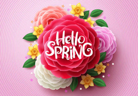 Spring flowers vector design. Hello spring text above colorful camellia and crocus flowers in pink spiral background. Vector illustration.のイラスト素材