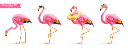 Summer flamingo vector set design. Flamingo bird in pink and colorful feather wearing sunglasses, floaters and hat for tropical season cute animal collection. Vector illustrationのイラスト素材