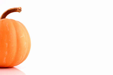 image of orange pumpkin over white backgroundの写真素材