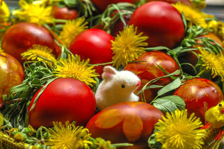 Decorated Easter eggs in basket with grass and dandelionの写真素材