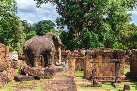 Tower, huge trees and galleries at sunny morning in Temples in Angkor Wat Historical Complex, Siem Reap, Cambodia.の写真素材