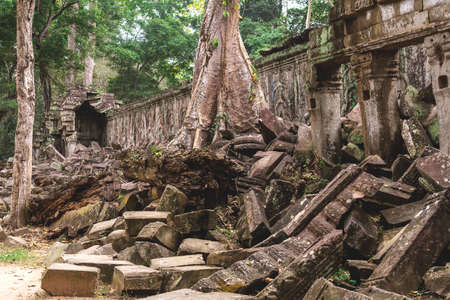 Tower, huge trees and galleries at sunny morning in Ta Prohm Temple, Siem Reap, Cambodia.の写真素材